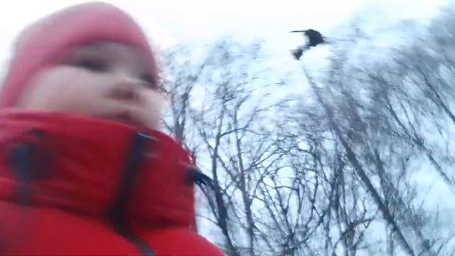 скажу название акка завтра смотреть онлайн