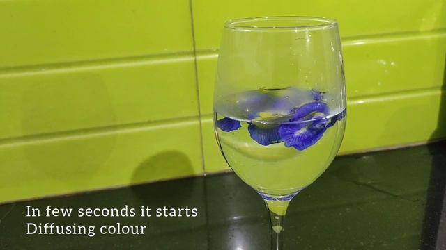 Blue Tea / Butterfly pea flower Tea / Aprajitta смотреть онлайн