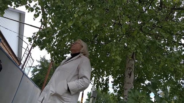Ищу дом в Краснодарском крае/ Ейский район/ станица Ясенская смотреть онлайн