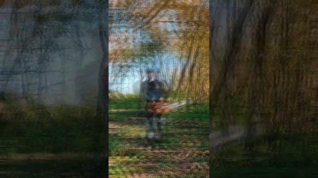 Taiga 214 harvesting firewood ? смотреть онлайн