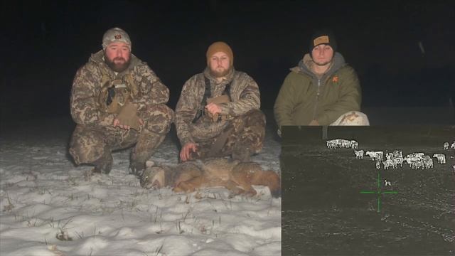 Quick Stand On A Work Night! | Infiray Siam SCT 35 | Infiray Bravo