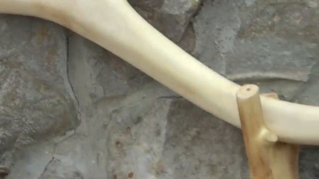 Метла Ведьмы смотреть онлайн