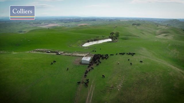 Colliers Property: 989 Raukawa Road, Raukawa, Hastings, Hawke's Bay. смотреть онлайн