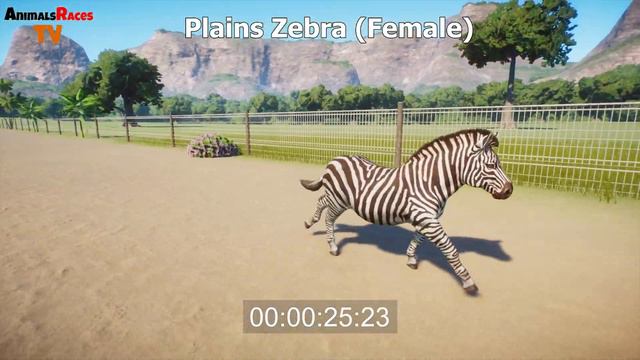 Herbivore Animals Speed Races in Planet Zoo - Holstein Friesian Cow, Plains Zebra and Nubian Goat смотреть онлайн