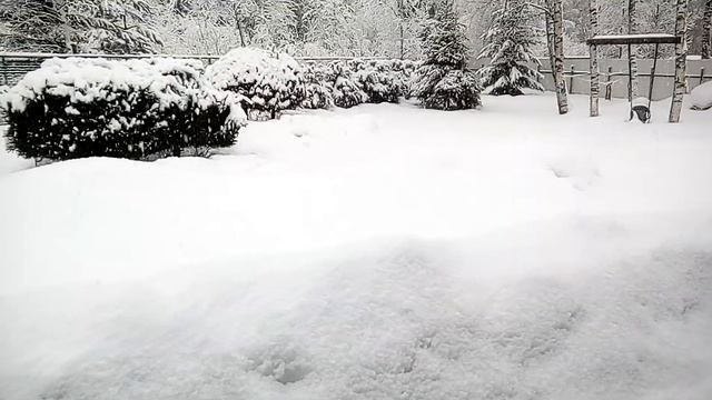 Пагода Лен обл сегодня Выборгский район садоводство Радуга смотреть онлайн