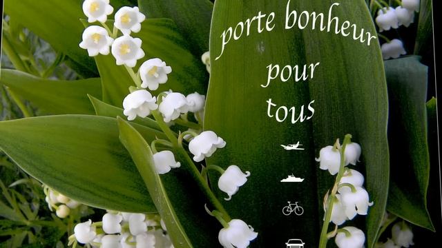 Muguet, Petite Fleur смотреть онлайн