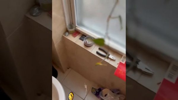 Любишь виртуальный игры? #айфон #vision pro