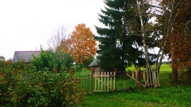 Псковская деревня Задолжье смотреть онлайн
