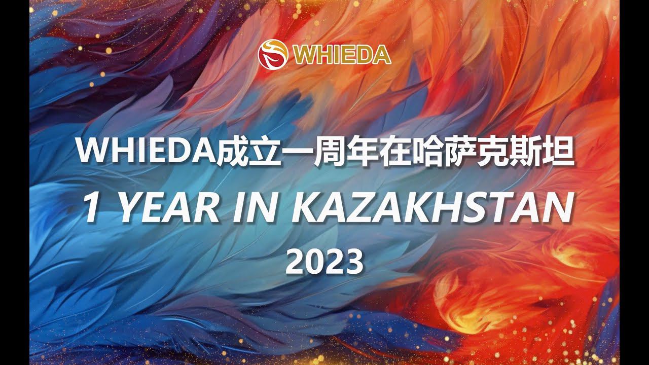 WHIEDA первая годовщина компании смотреть онлайн