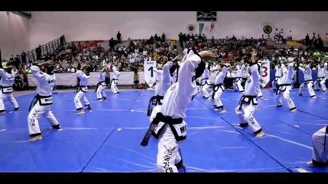Demo Team - World Hapkido Championship - México 2017 смотреть онлайн