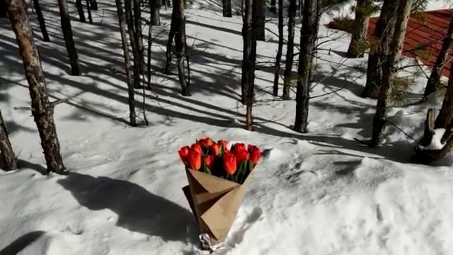 Обряд на красоту и женственность смотреть онлайн