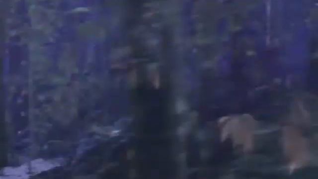 World of WarCraft смотреть онлайн