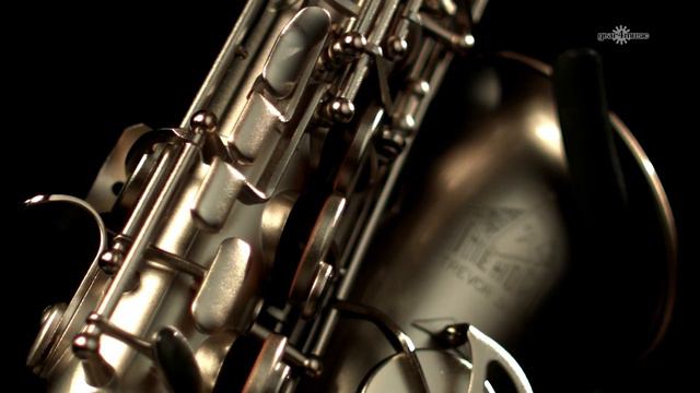 Trevor James Horn 88 Alto Saxophone Brushed Gold  Gear4music