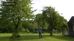 ТОП—5. Лучшие садовые телескопические высоторезы. Рейтинг 2021 года!