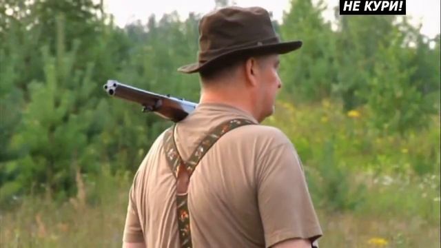 Охота на фазана с легавой. Охота на фазана с курцхааром - 2021г смотреть онлайн