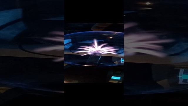 Вот такой морской ёжик