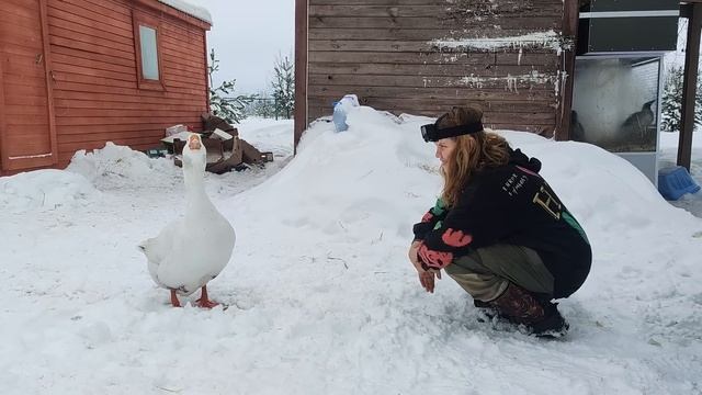 Лиза ползет к филину сквозь сугробы смотреть онлайн