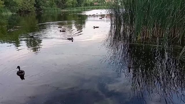 Озеро Шишига