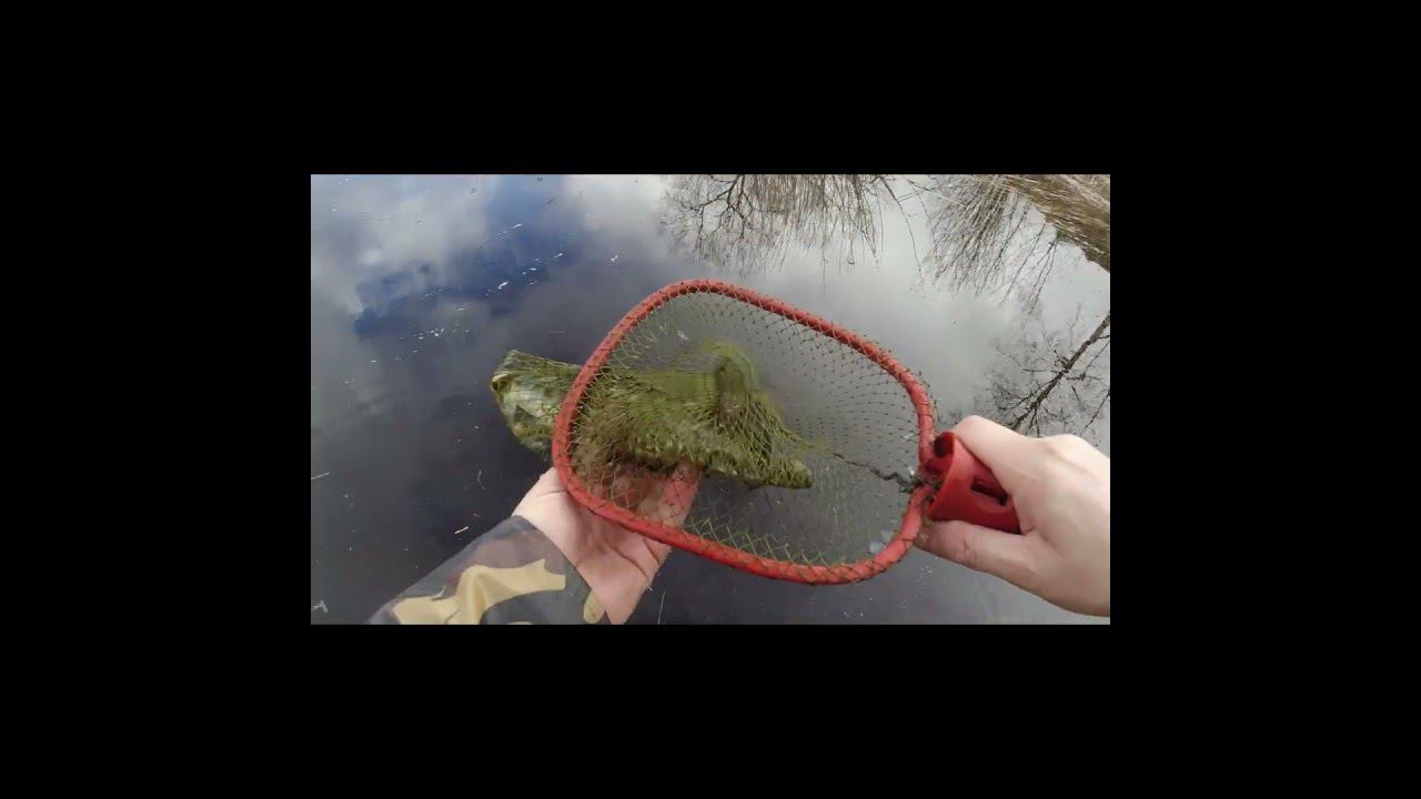 #мормышинг Поймал щуку подсаком смотреть онлайн