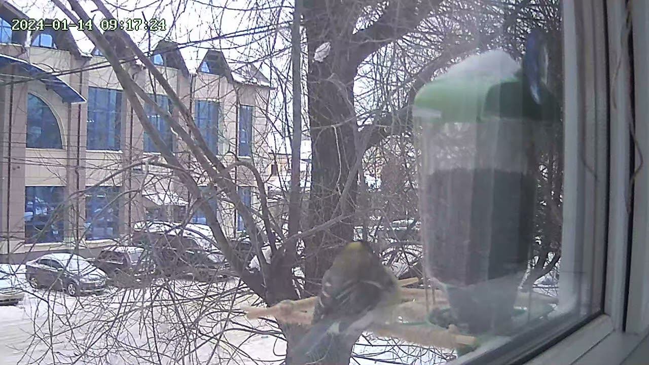 14 января 2024 г.