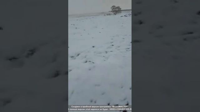 СУПЕР-МЕГА КОП ЗОЛОТЫХ САМОРОДКОВ ЗИМА 2020!!! Смотреть до конца находки в конце! смотреть онлайн