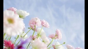 ХРИСТОС ВОСКРЕСЕ! ПАСХАЛЬНАЯ ПЕСНЯ СВЕТА ЛУЧИКИ С НЕБЕС!