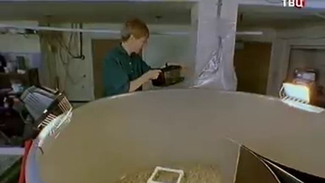 Осьминоги. Энциклопедия. смотреть онлайн