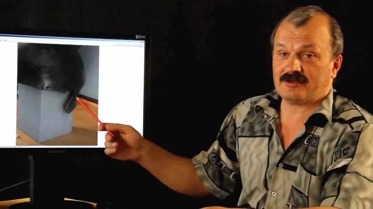 Искажение истории Часть 1 Доспехи смотреть онлайн