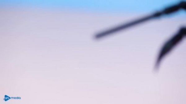 Mukbang LEGO Fast Food : Prison Food! Eating Inmates Last Meals? - Stop Motion & ASMR Video