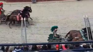 Гонка на колесницах. Шоу Рим.