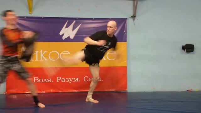 Удары ногами. Есин Николай. ЗАРЯ Дикого поля. смотреть онлайн