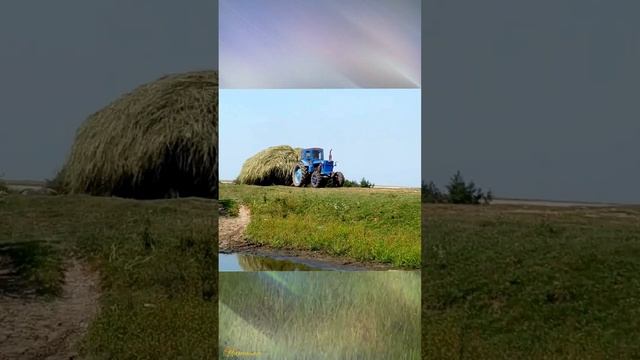 С днем работников сельского хозяйства Лучшее музыкальное поздравление Красивая видеооткрытка.