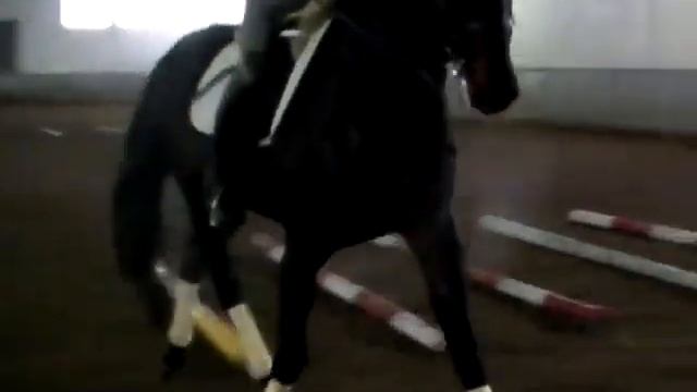 Гвидон тренировка.MP4 смотреть онлайн