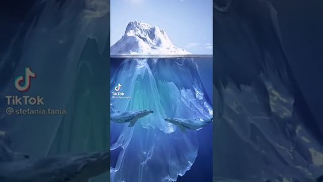 Антарктида Киты смотреть онлайн