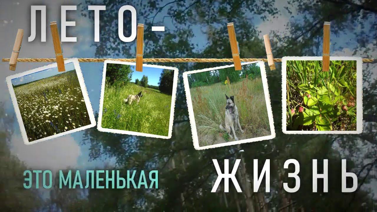 Лето – это маленькая жизнь (кавер-дуэт) смотреть онлайн