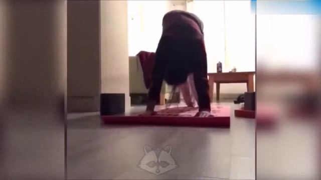 СМЕШНЫЕ ДОМАШНИЕ ЖИВОТНЫЕ, ПРИКОЛЫ ПРО КОТОВ смотреть онлайн