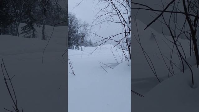 Зовите меня сноу.Просто сноубайк Дракон? смотреть онлайн