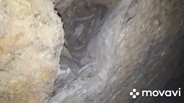 НОЕВ КОВЧЕГ/Раскопки продолжаются/2/ смотреть онлайн