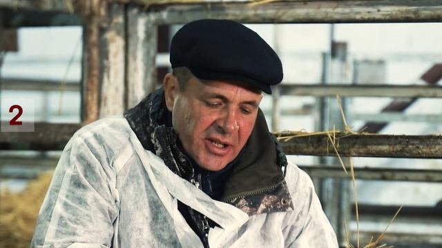 Александр Суминов - Система “Корова-теленок” смотреть онлайн