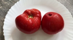 Томат Минусинский крупный!