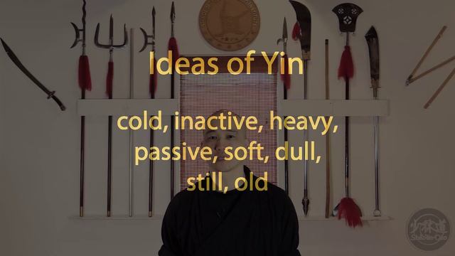 Qigong Theory Episode 04 - Yin Yang And Qi