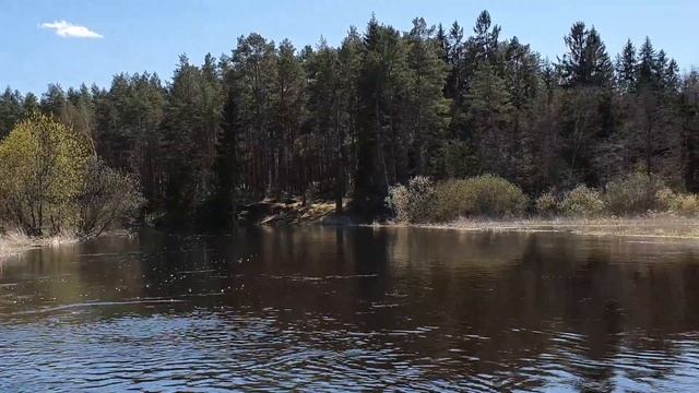 по реке Луга на двух лодках Белуга 430 и Hanterboat 280 смотреть онлайн