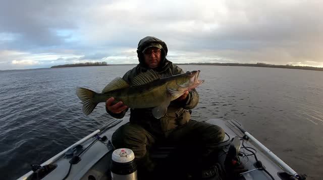 Осенняя рыбалка на джиг. Екатериновская воложка. Рыбалка в Самарской области. смотреть онлайн
