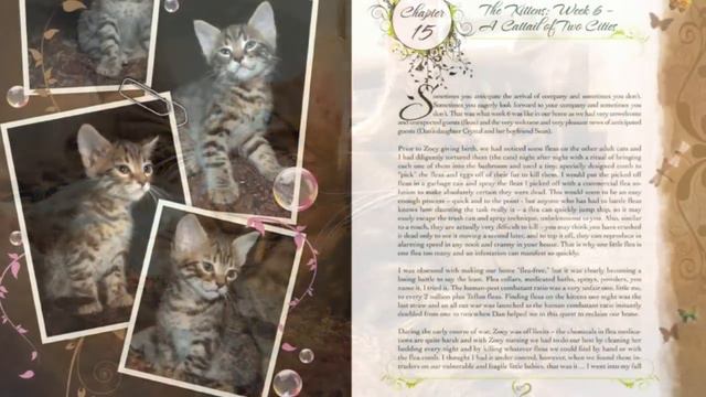 The Chronicles of Zee & Zoey - Book Trailer.mov смотреть онлайн