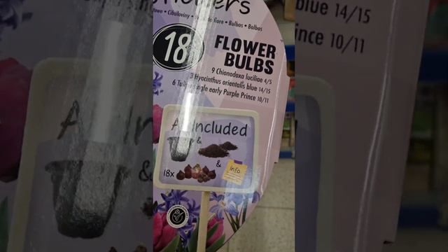 أساسيات النباتات عندAction смотреть онлайн