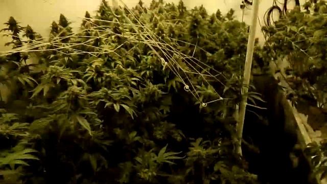 Slows Grow show log #33 ( site B 12k watt update)) смотреть онлайн