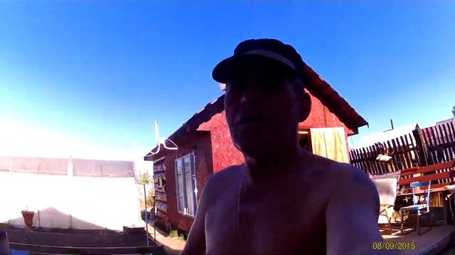 Как подвязать помидоры и огурцы в теплице из поликарбоната смотреть онлайн
