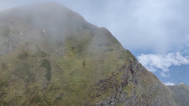 Nausicaa of the Valley of the Wind