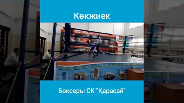 Боксеры СК Карасай в республиканском турнире по боксу в КазЦИКе. смотреть онлайн