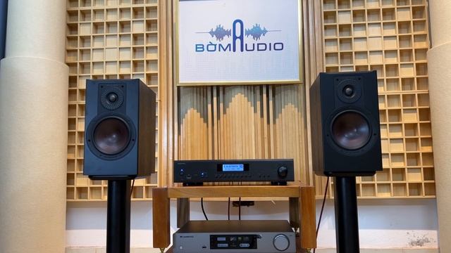 Bản Phối Mê Đắm Từ ROTEL A14 vs DALI OPTICON 2 MKII ? смотреть онлайн